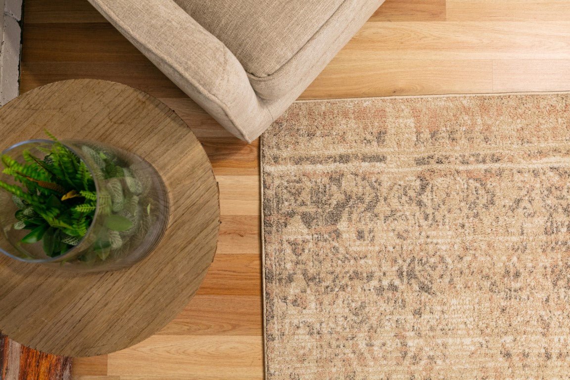 Cozy Contemporary Rug 5430 Dark Beige Beige.