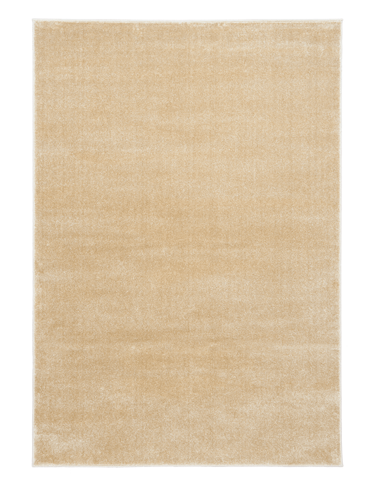 Beige area rug with speckled pile and rectangular stitched border