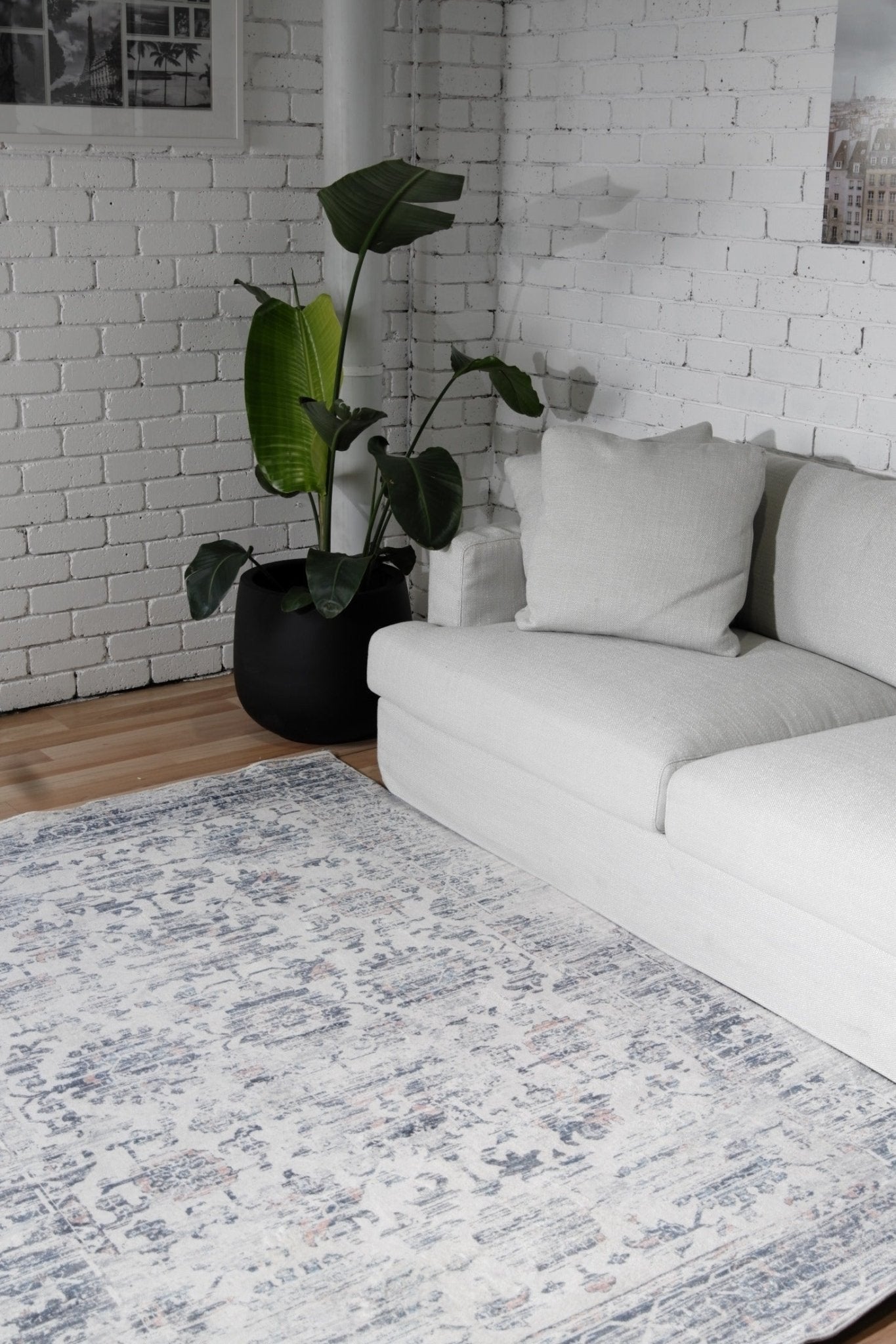 Ivory and blue distressed printed modern rug, medium size