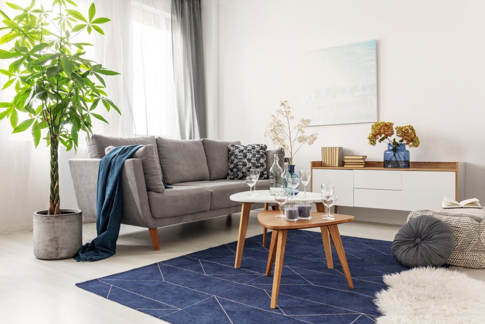 Modern Rugs