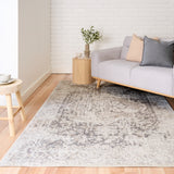Gray and white distressed area rug with worn-look texture across surface