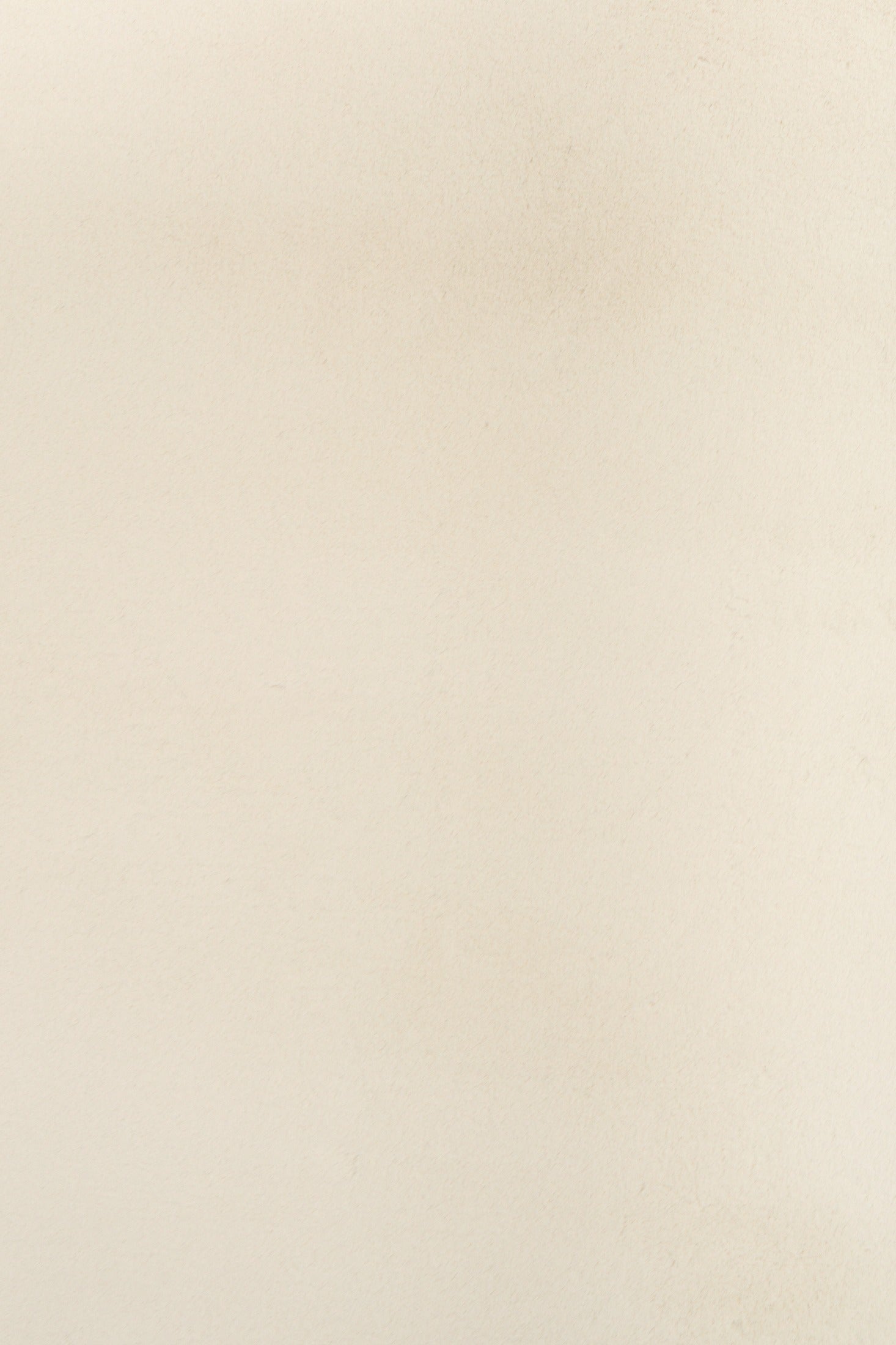 Carrie Warm Neutral Rug.