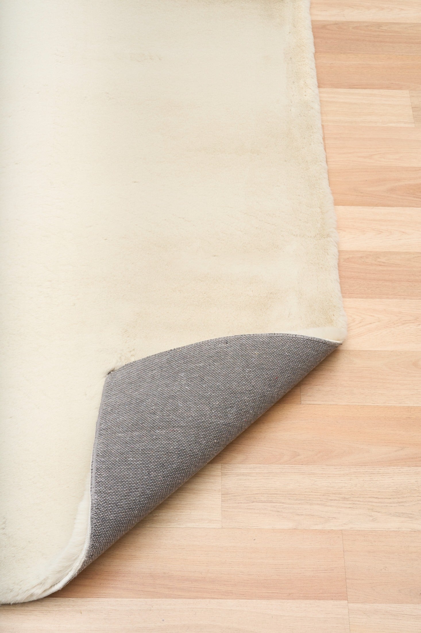 Carrie Warm Neutral Rug.