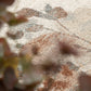 CARSEN Belgium designed Rug 57717 771.