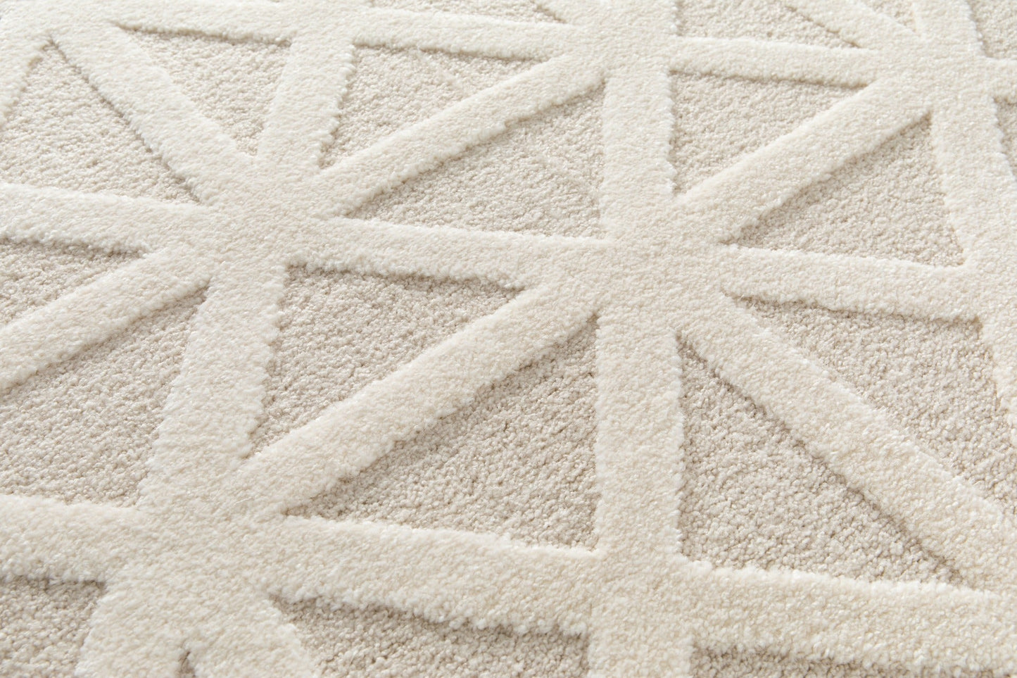 Cocoon Area Rug 59614 66.