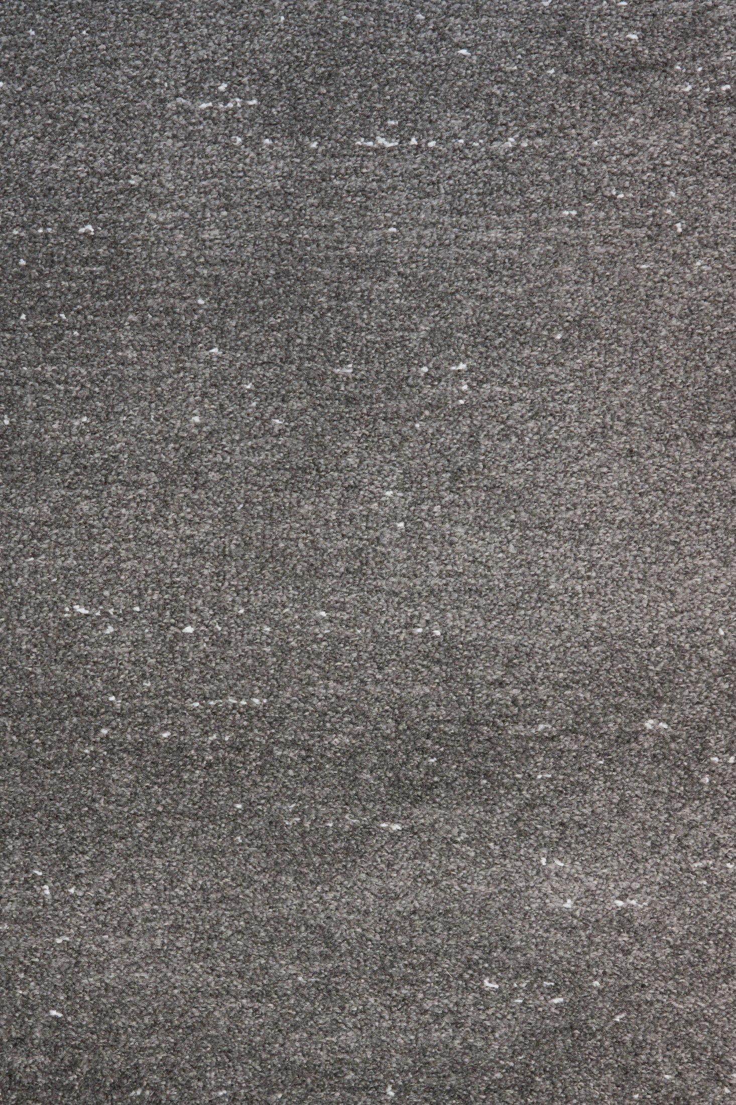 Costa 68104 31.