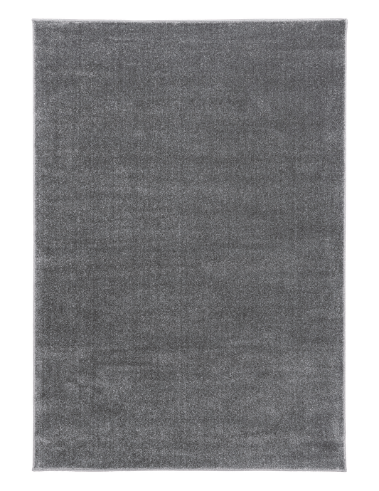 Dark gray area rug with thin light border along edges