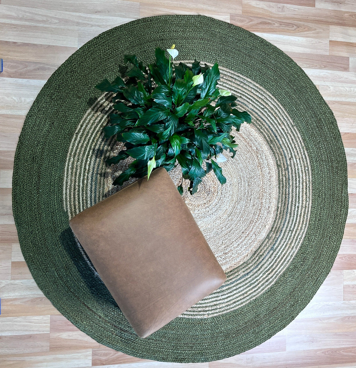 Juno 456 Green - Rugs PointMagento Product