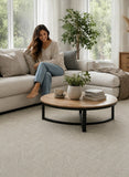 Light gray woven area rug filling most of the living room scene