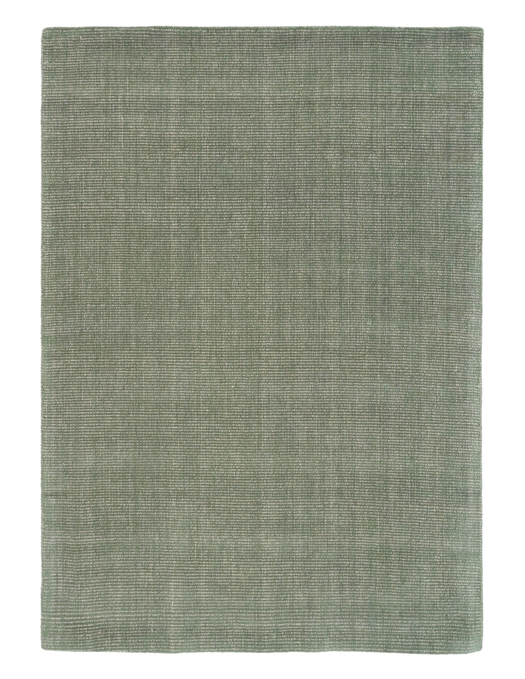 Rectangular green area rug flat on white background, textured woven surface