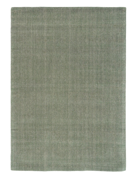 Rectangular green area rug flat on white background, textured woven surface