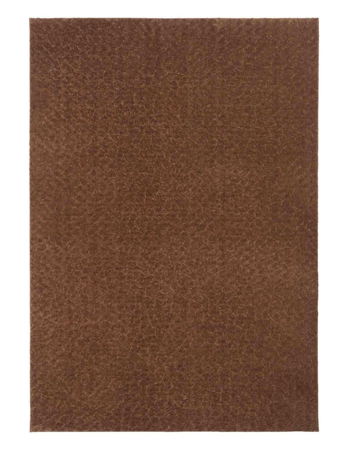 Brown shaggy area rug, flat woven texture, rectangular shape