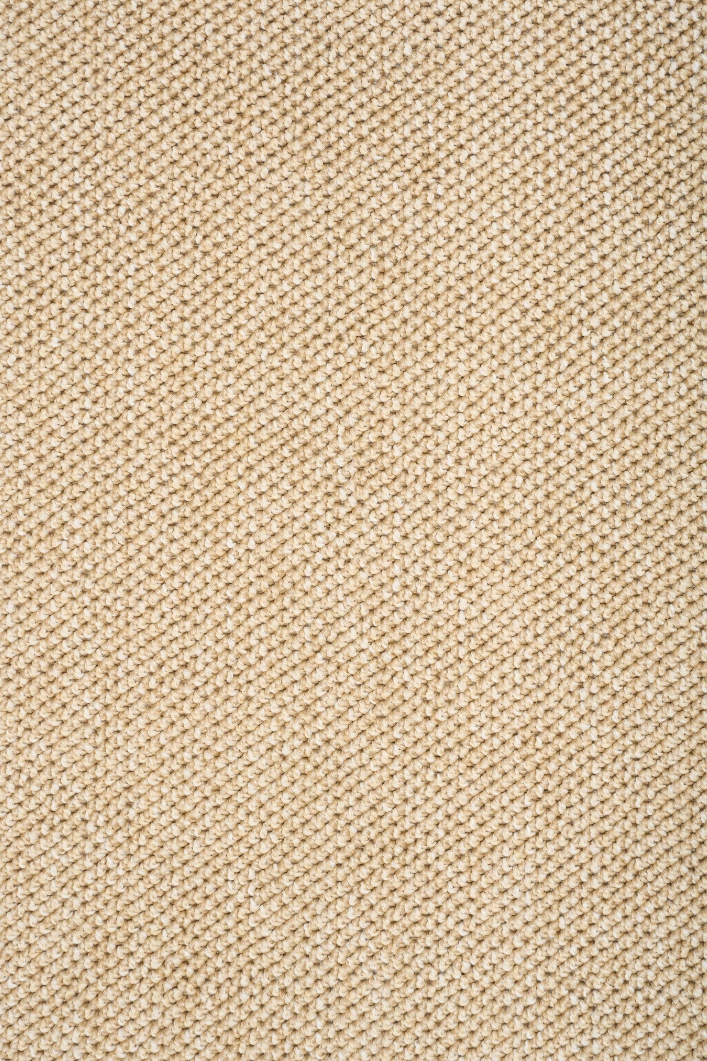 Beige close-up of rug weave texture with tight looped pattern