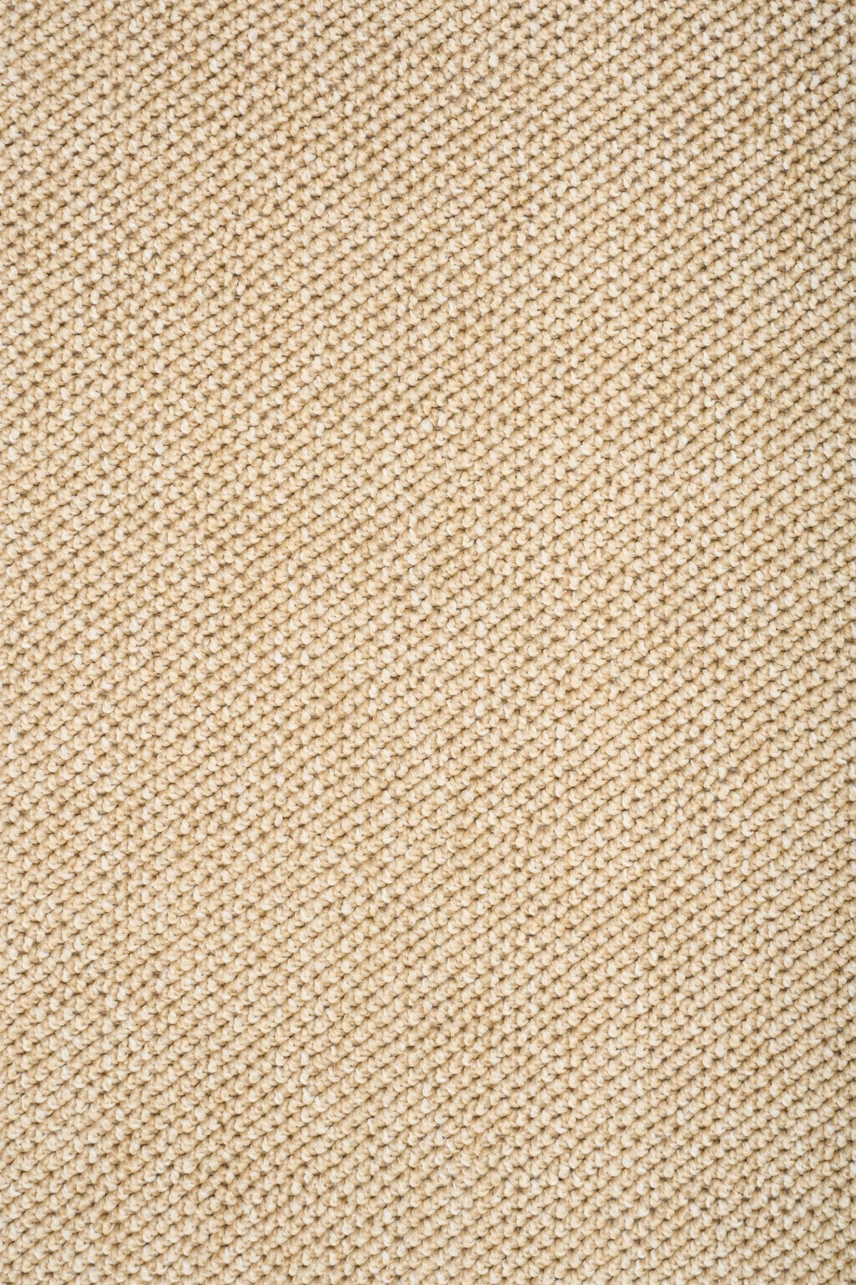 Beige close-up of rug weave texture with tight looped pattern
