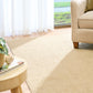 Beige area rug on hardwood floor near window, textured looped surface