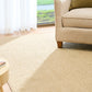 Beige area rug on hardwood floor, textured looped surface