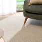 Light brown textured area rug in living room next to upholstered sofa