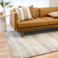 Bone cream area rug with distressed texture pattern beside a tan sofa