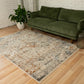 Distressed multi-color area rug with central medallion and ornate border on light base
