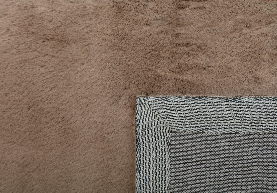 Splender Nutmeg.