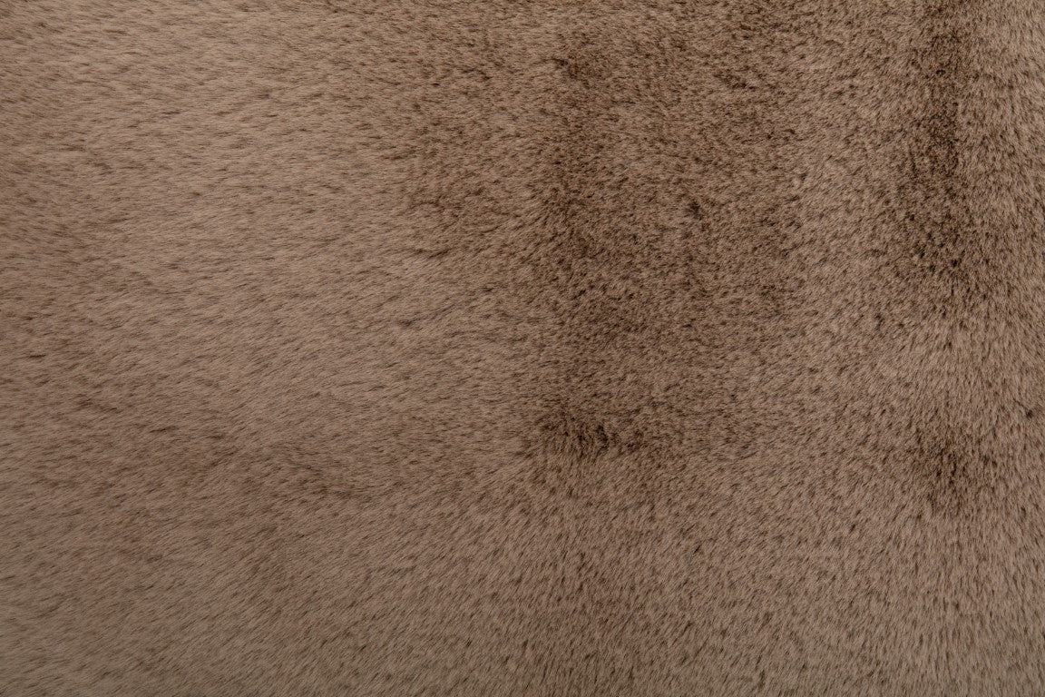 Splender Nutmeg.